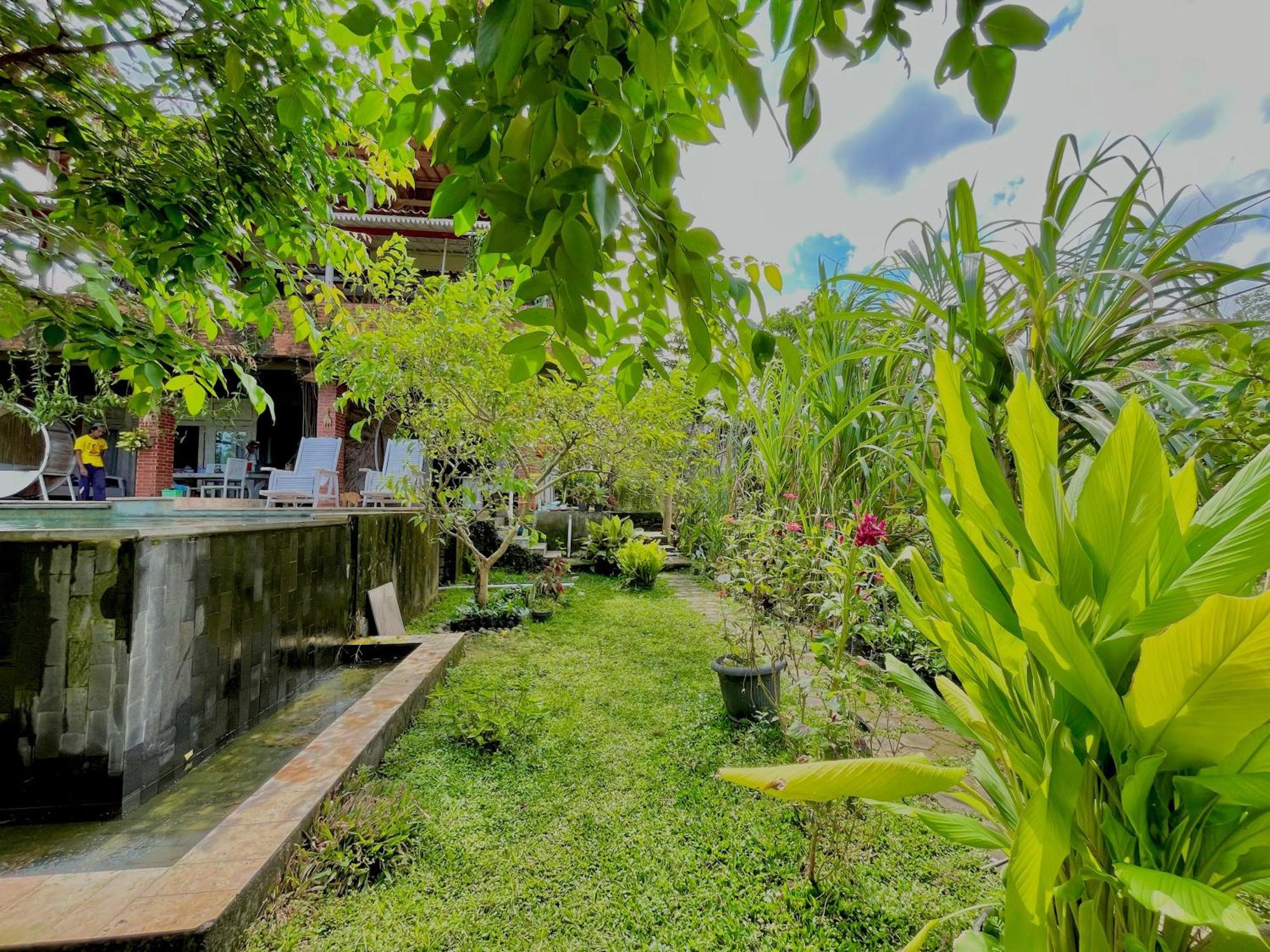 Pondok Isoke Bunggalow Banyuwangi  Dış mekan fotoğraf